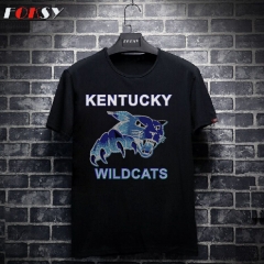 Kentucky Wildcats Hot Fix Rhinestone Transfers